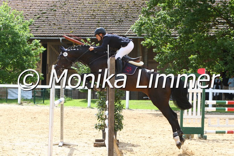 006M6855_Casanova_Springpferde L.JPG